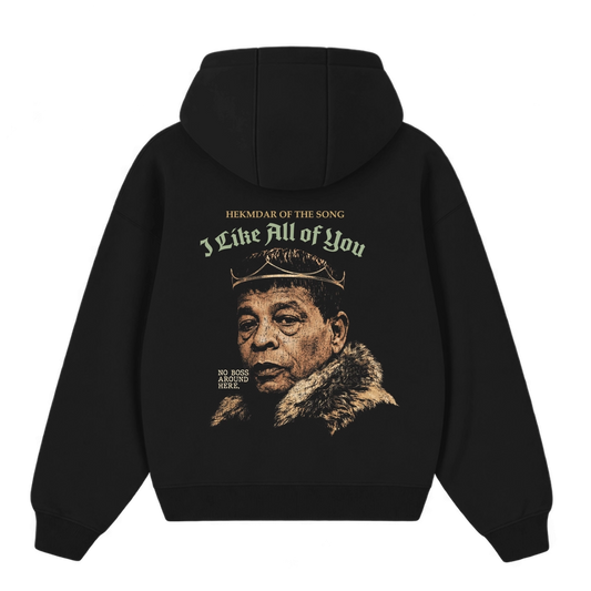 I Like all of You Hoodie